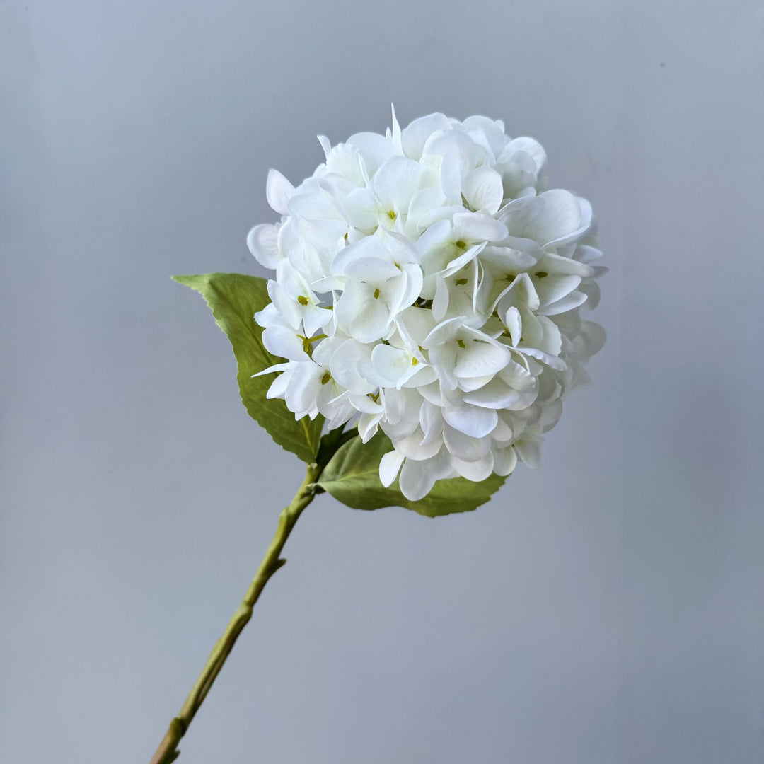 Floral Decorative