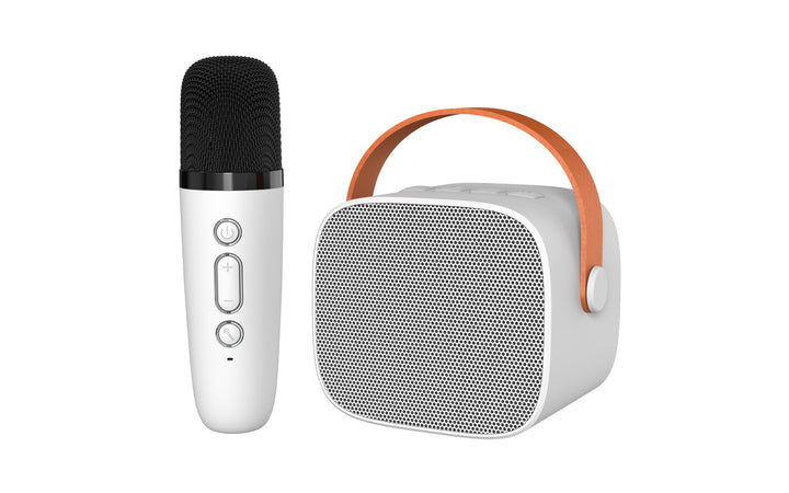 Bluetooth Karaoke Microphone Set Kalsten