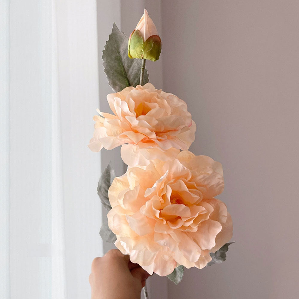 Realistic Peony Flower Stem