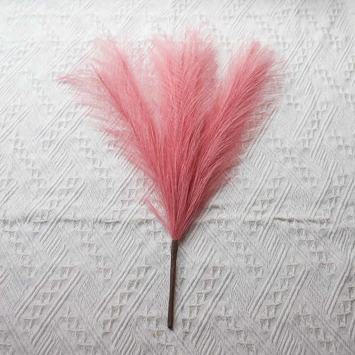 Decorative Dried Grass Stem