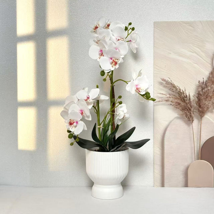 Decorative Orchid Plant Arrangement 1790480695 for Decor