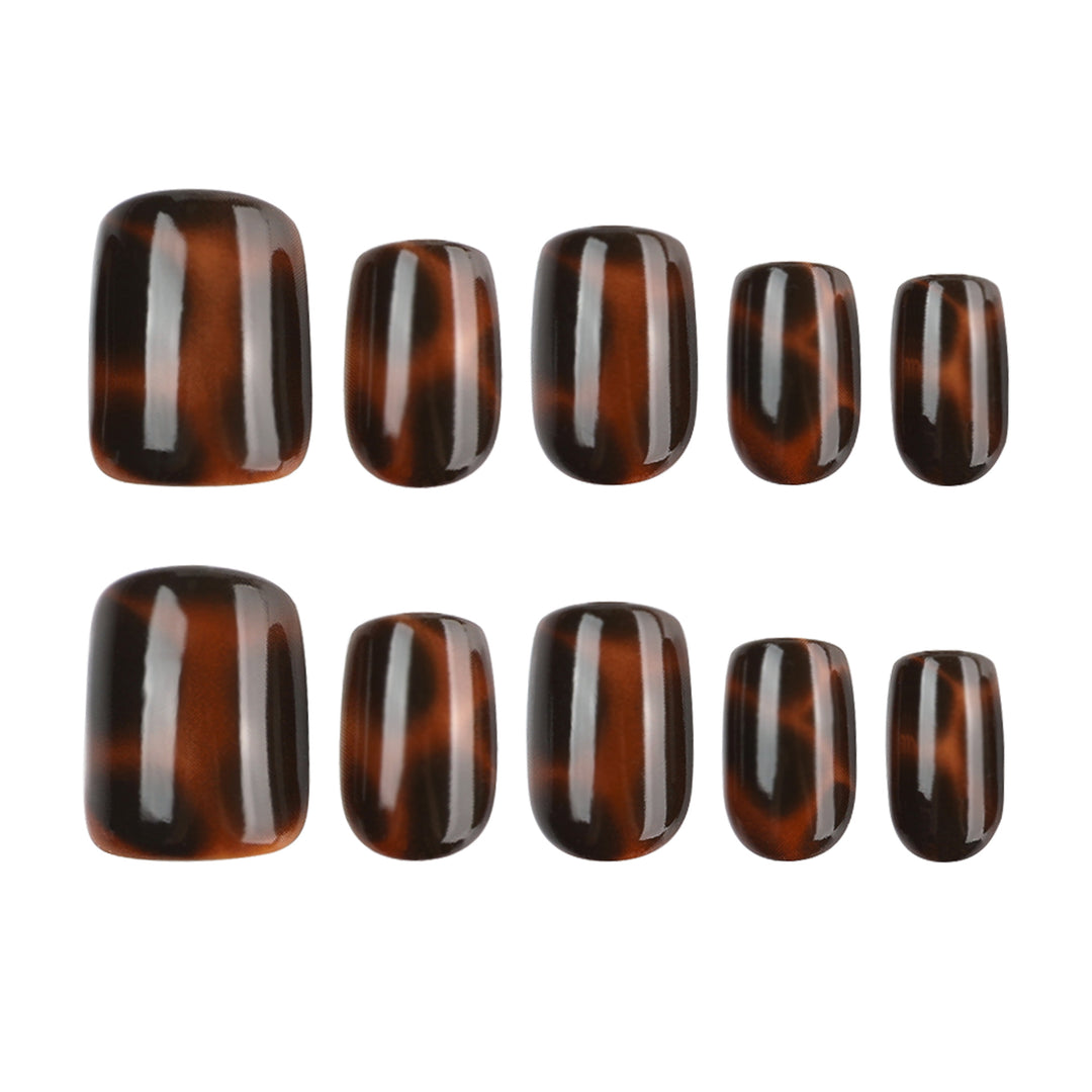 Artificial nail extensions with elegant tortoiseshell decor Kalsten