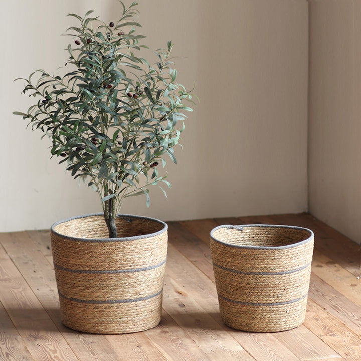 Plant basket Kalsten