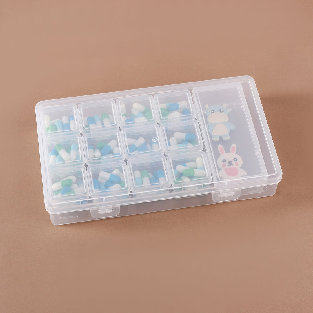 Multi-Compartment Storage Organizer Case Kalsten