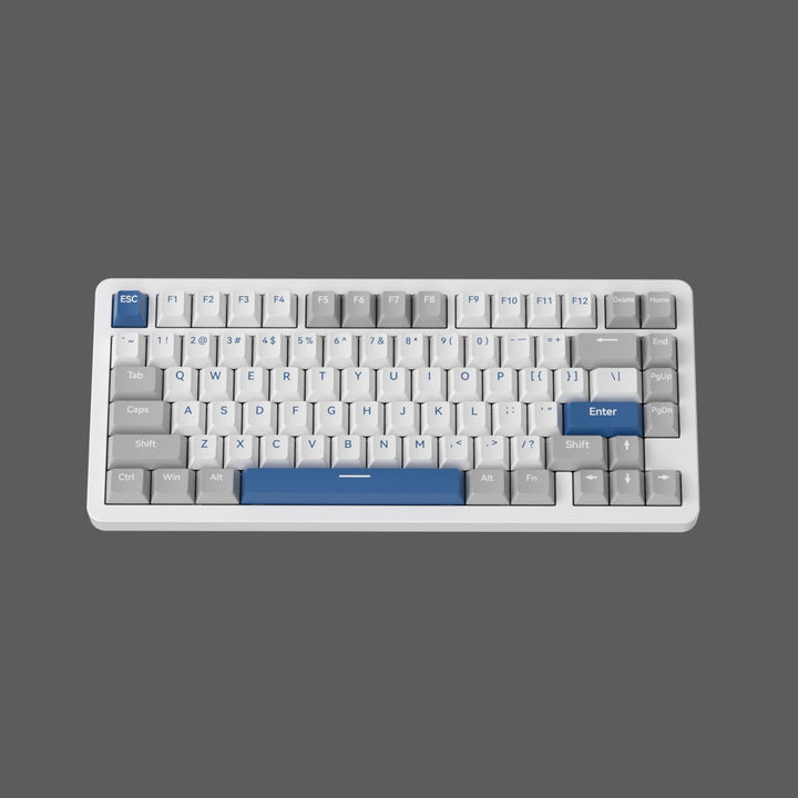 Compact Ergonomic Mechanical Keyboard Kalsten