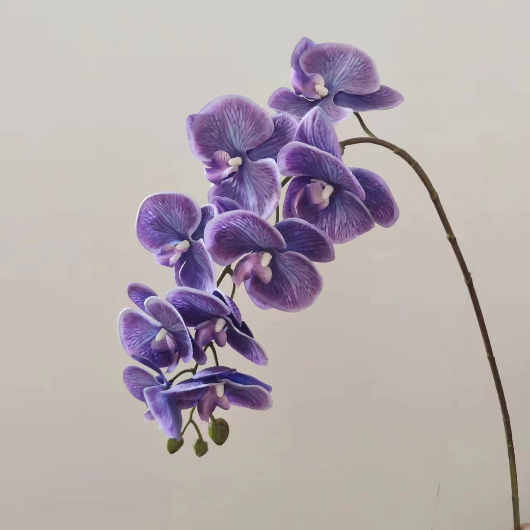 Realistic Orchid Floral Arrangement