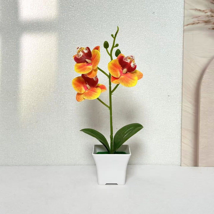 Artificial Orchid Arrangement for Home and Office Decor