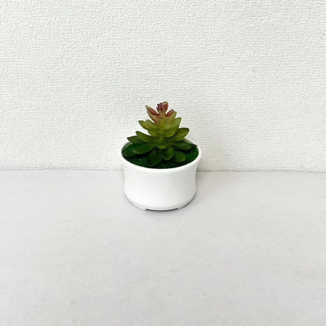 Lifelike Succulent Plant Arrangement
