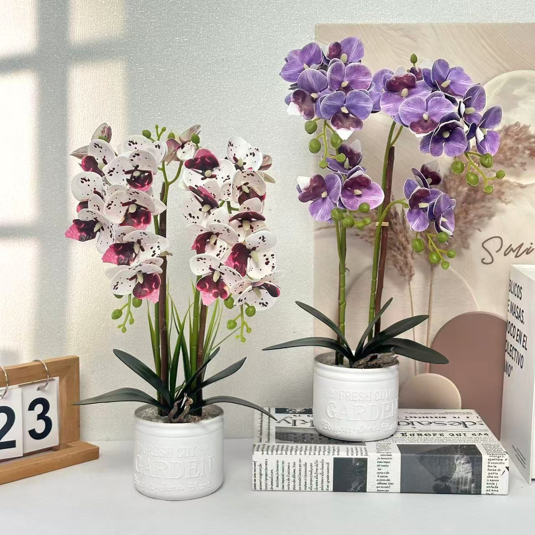 Decorative Potted Orchid Arrangement for Tabletop Decor