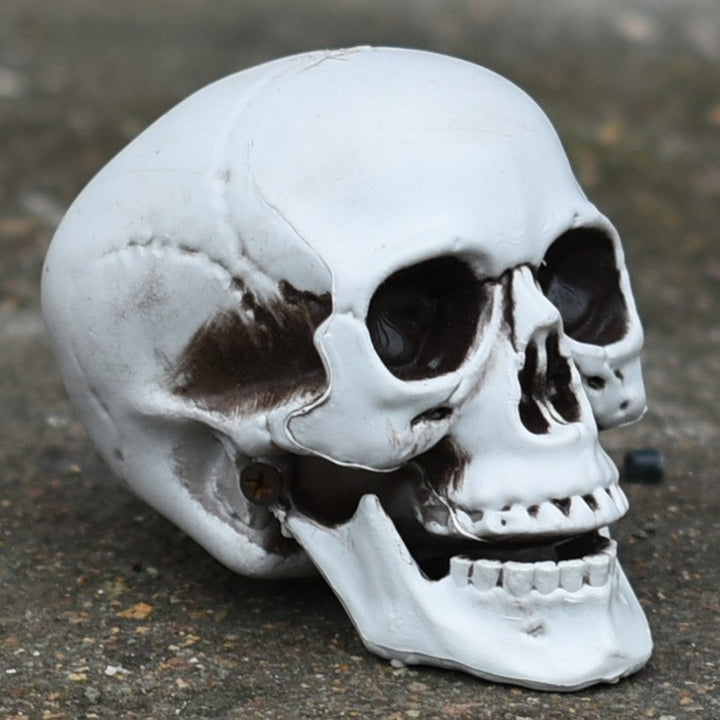 Decorative Skull Phone Stand Kalsten 1790561032