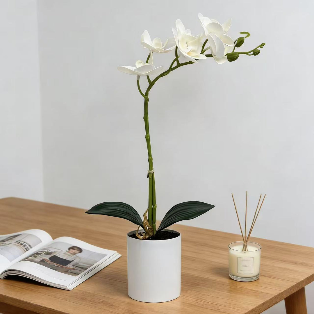 Realistic Artificial Orchid Stem