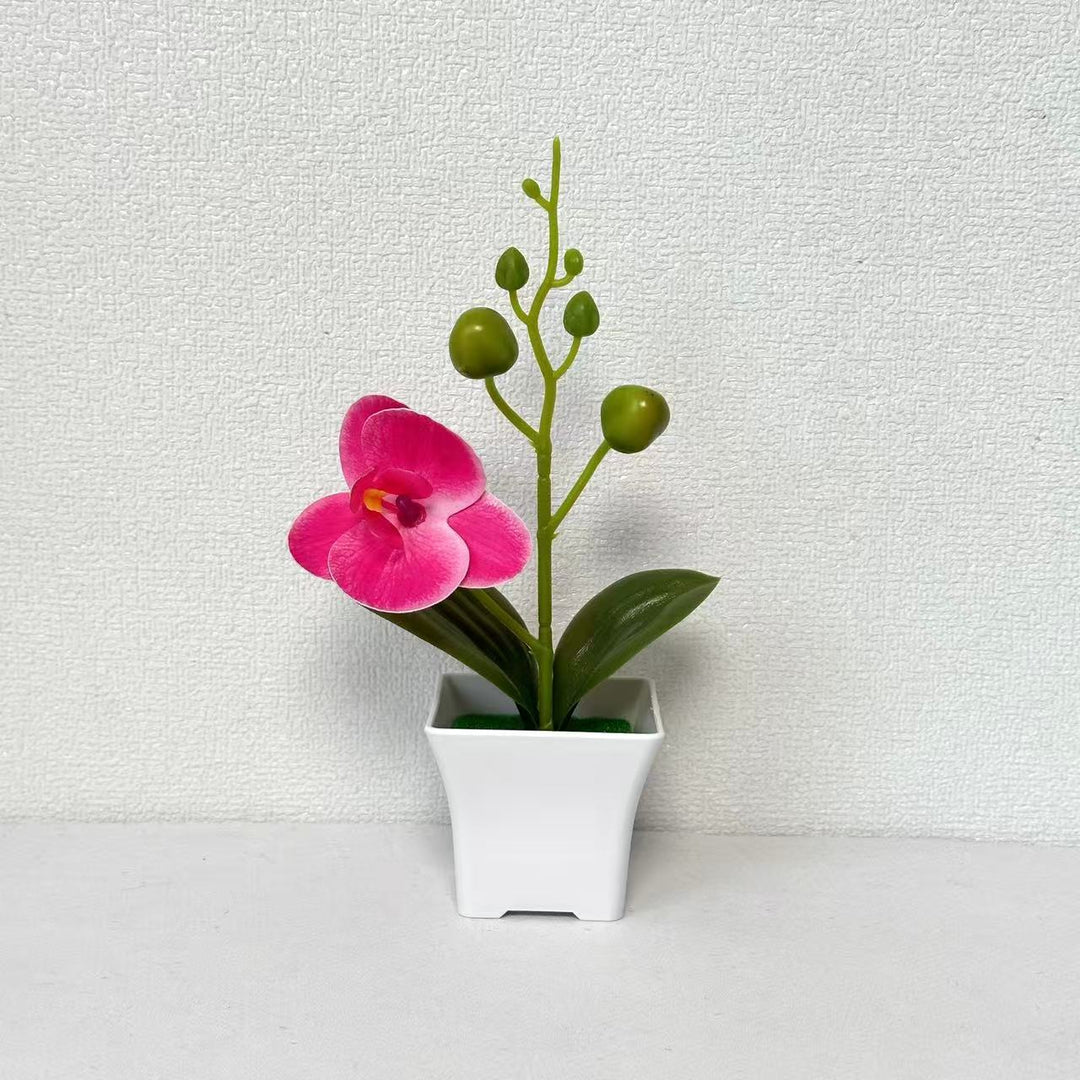 Lifelike Miniature Orchid Plant