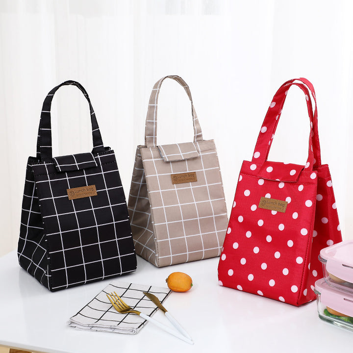 Fashionable Insulated Lunch Tote Kalsten