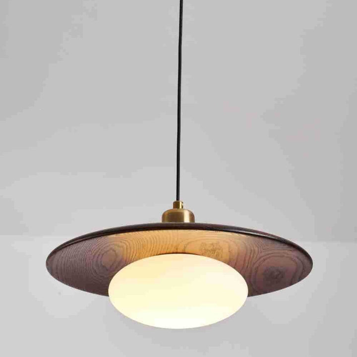 Modern Artistic Pendant Light Fixture