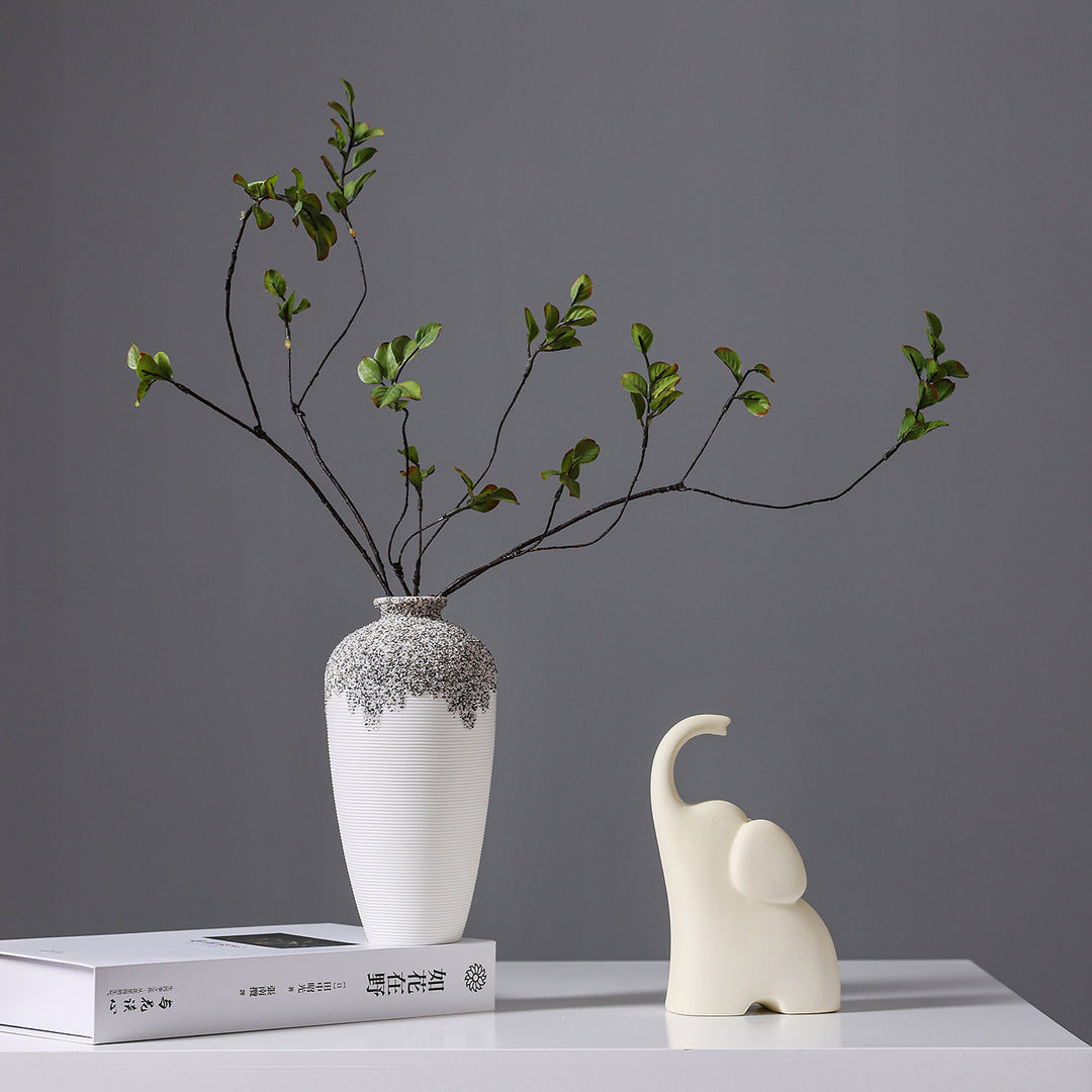 Decorative Ceramic Vse