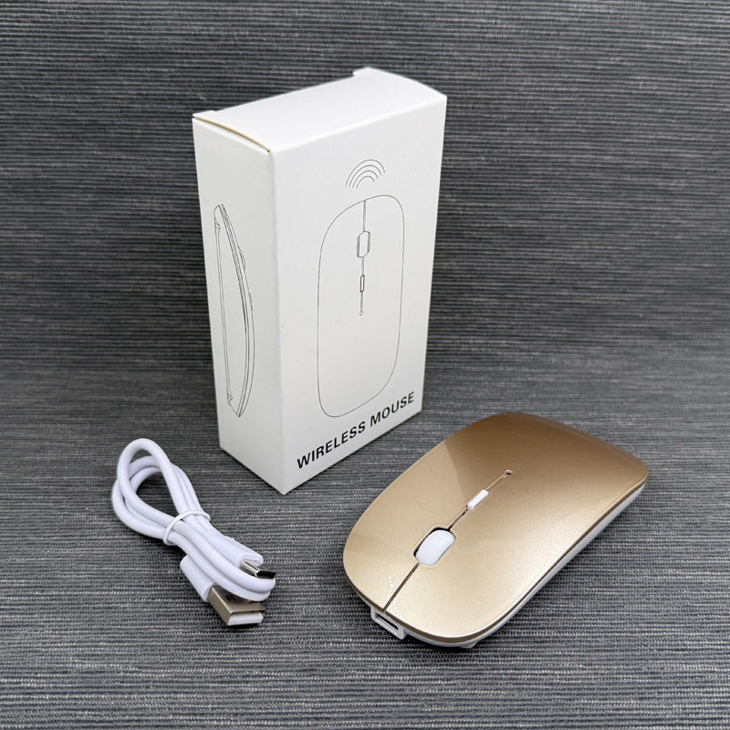 Wireless Ergonomic Mouse Kalsten