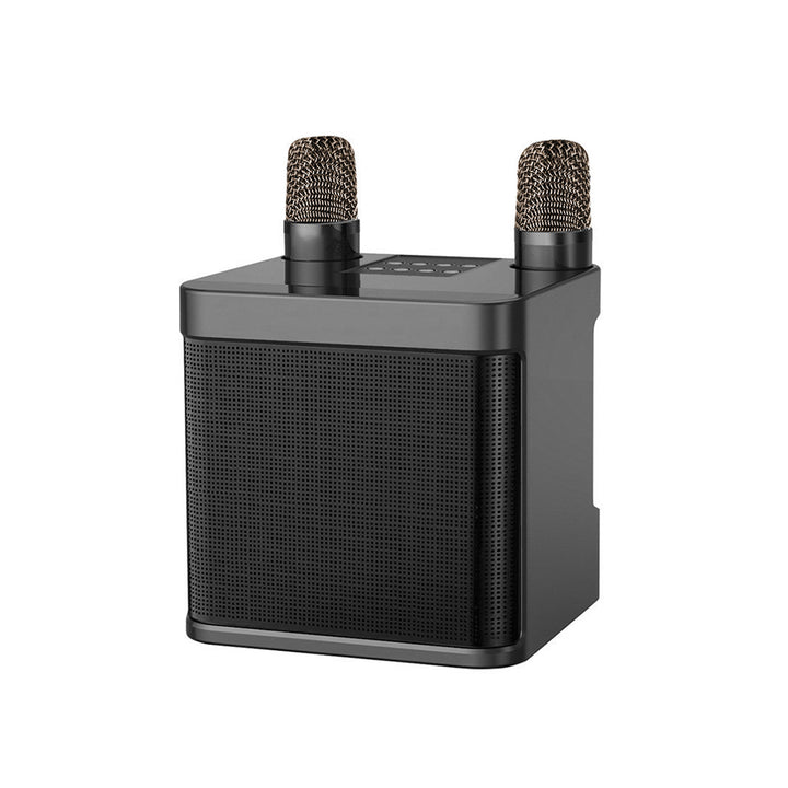 Dual Microphone Karaoke Speaker Kalsten
