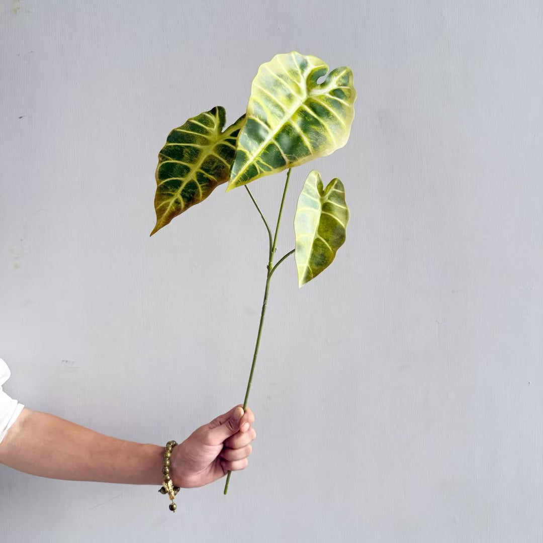 Modern Decorative Plant