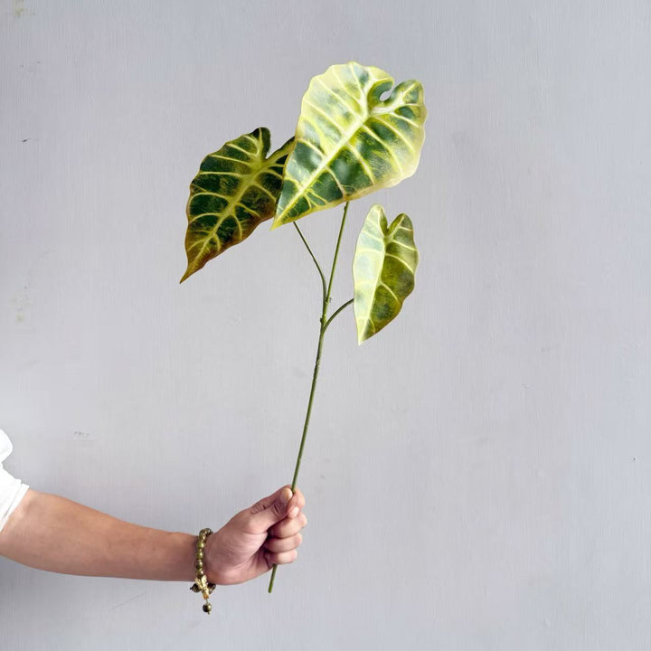 Modern Decorative Plant