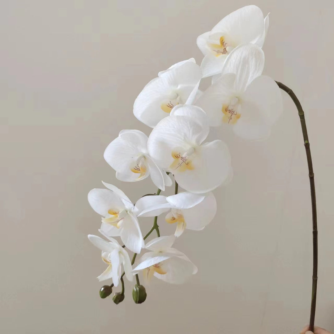 Realistic Orchid Floral Arrangement