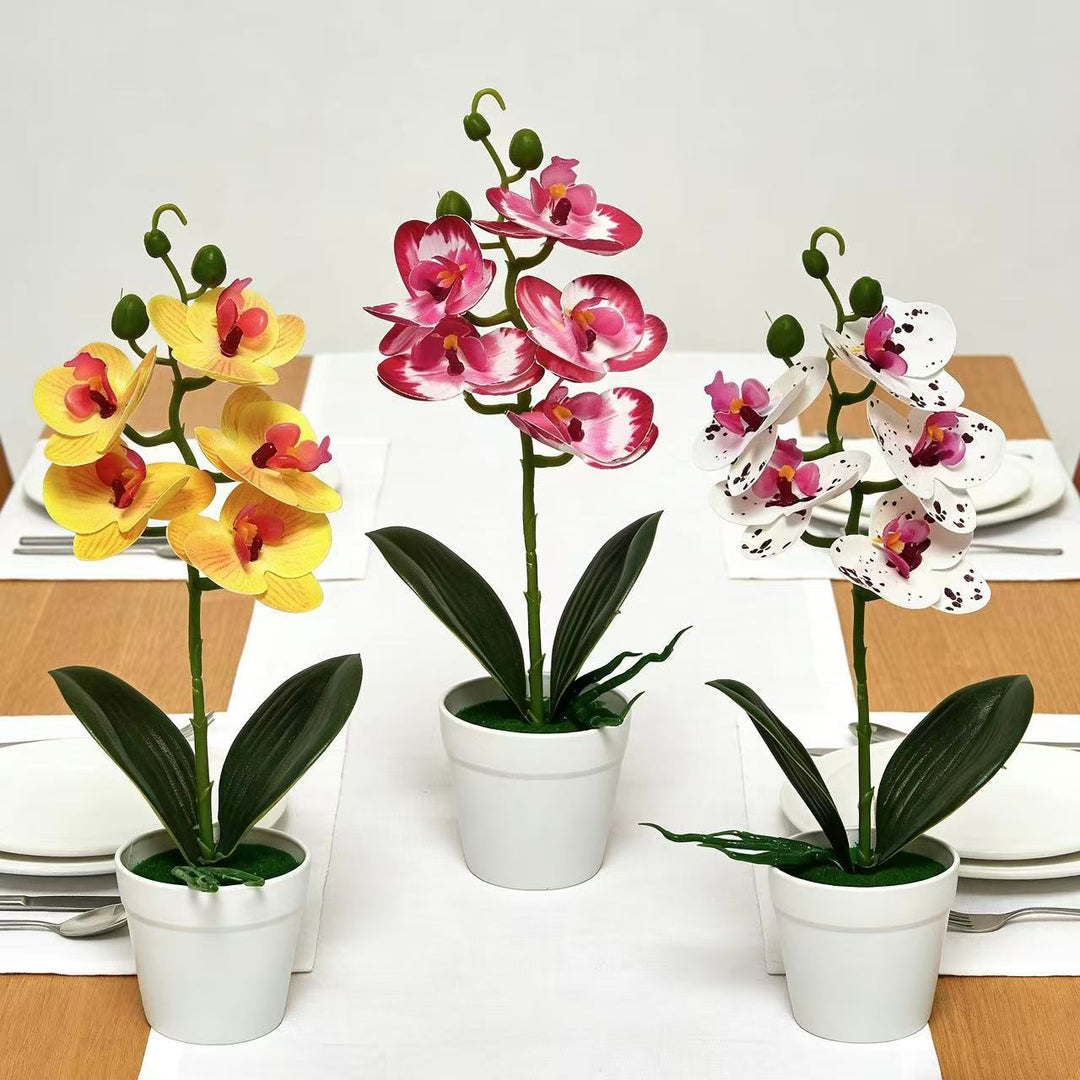 Realistic Faux Orchid Arrangement
