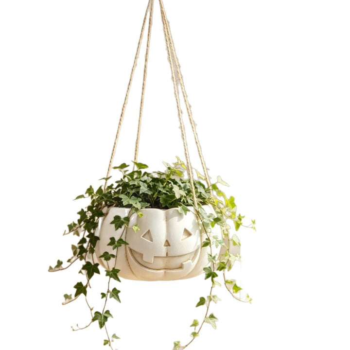 Hanging ceramic pumpkin flower pot with carved pumpkin face and jute string