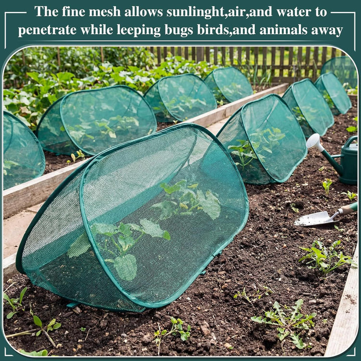 Garden Plant Protection Kalsten