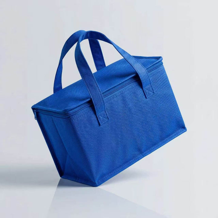 Insulated Travel Cooler Bag Kalsten