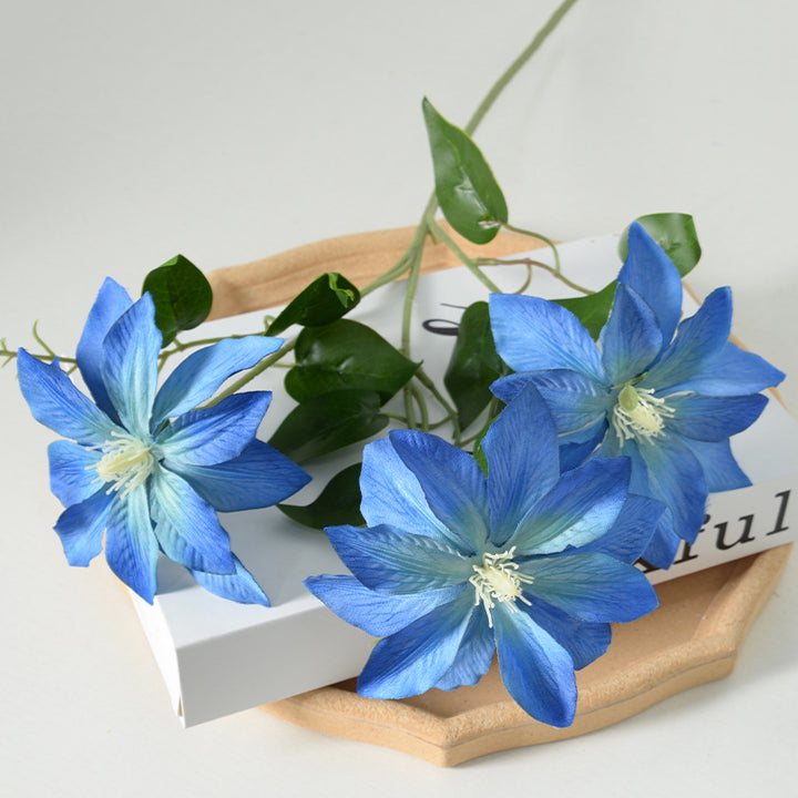 Decorative Floral Clematis Stem