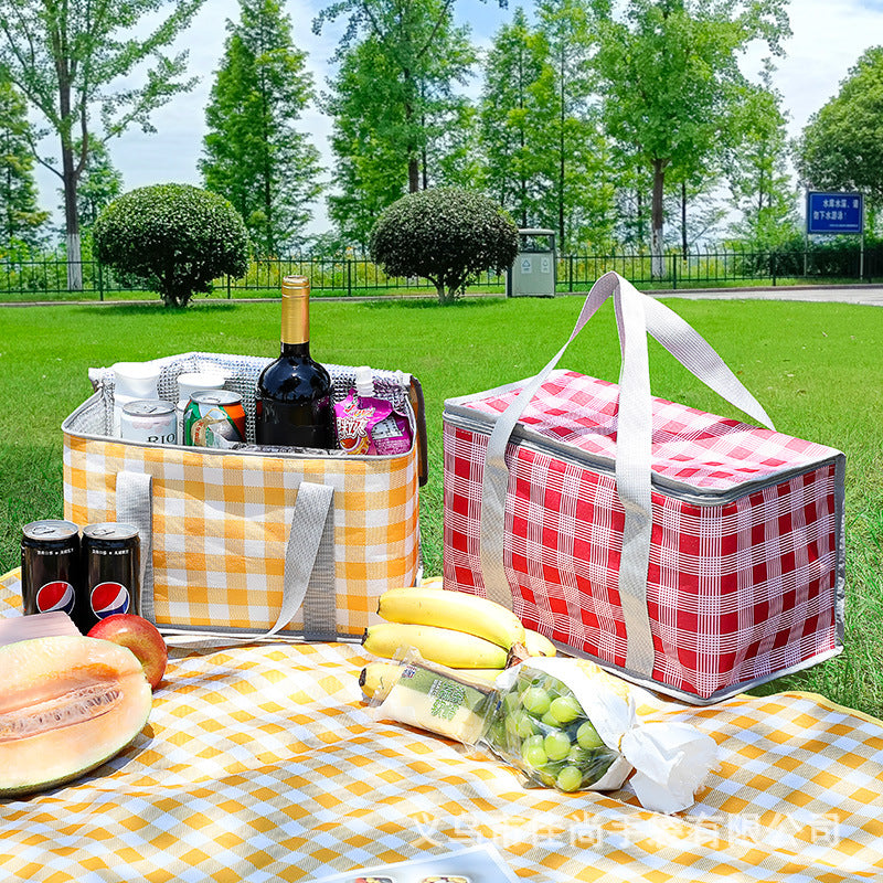 Stylish Insulated Picnic Cooler Bag