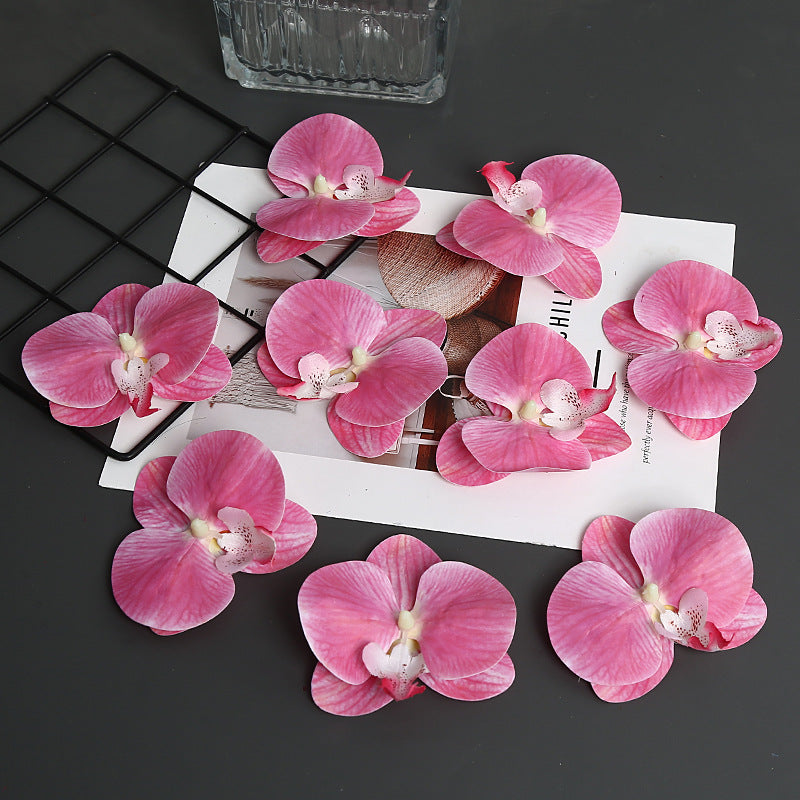 Decorative Orchid Petal for Home Decor Display