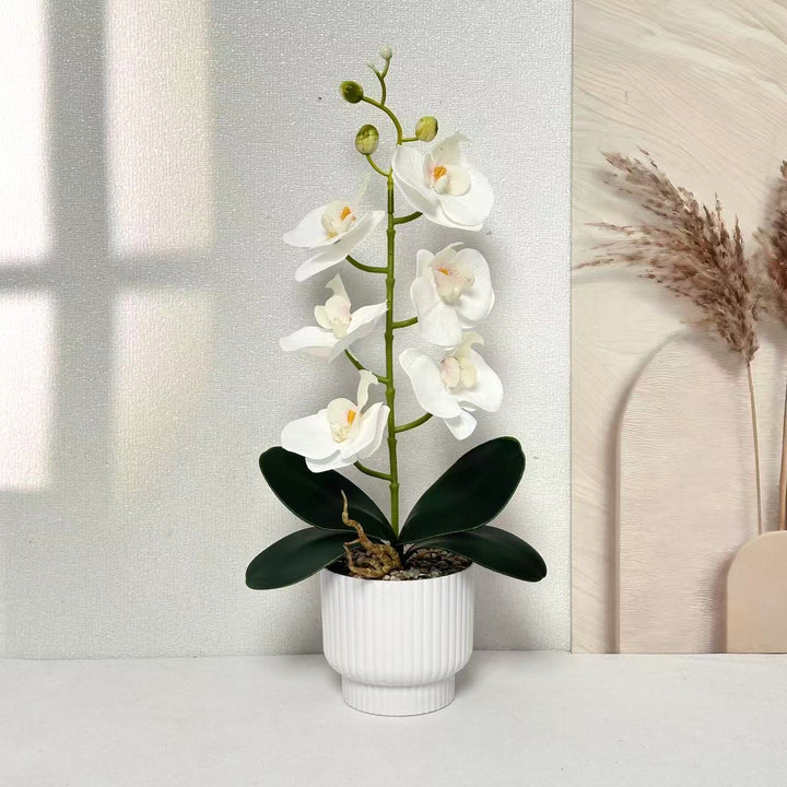Stylish Faux Orchid Plant Arrangement
