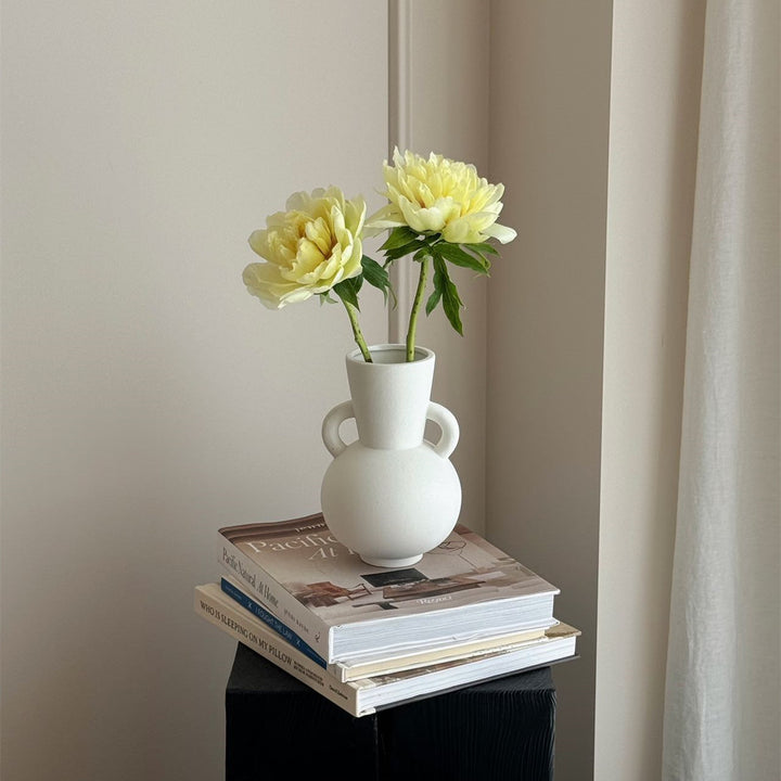 Decorative Ceramic Art Vase for Home Display