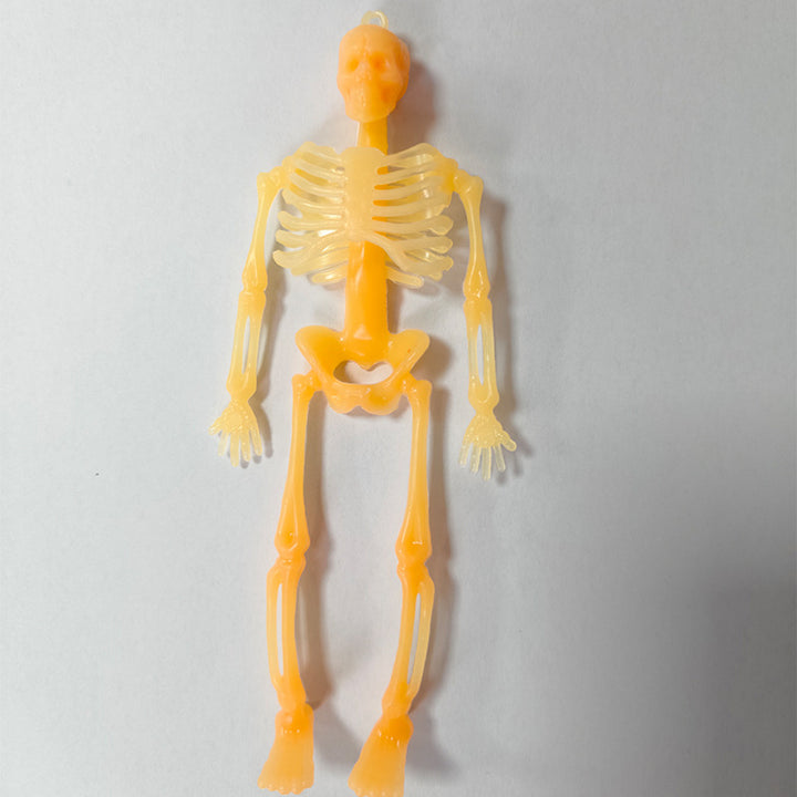 Miniature Anatomical Skeleton Kalsten