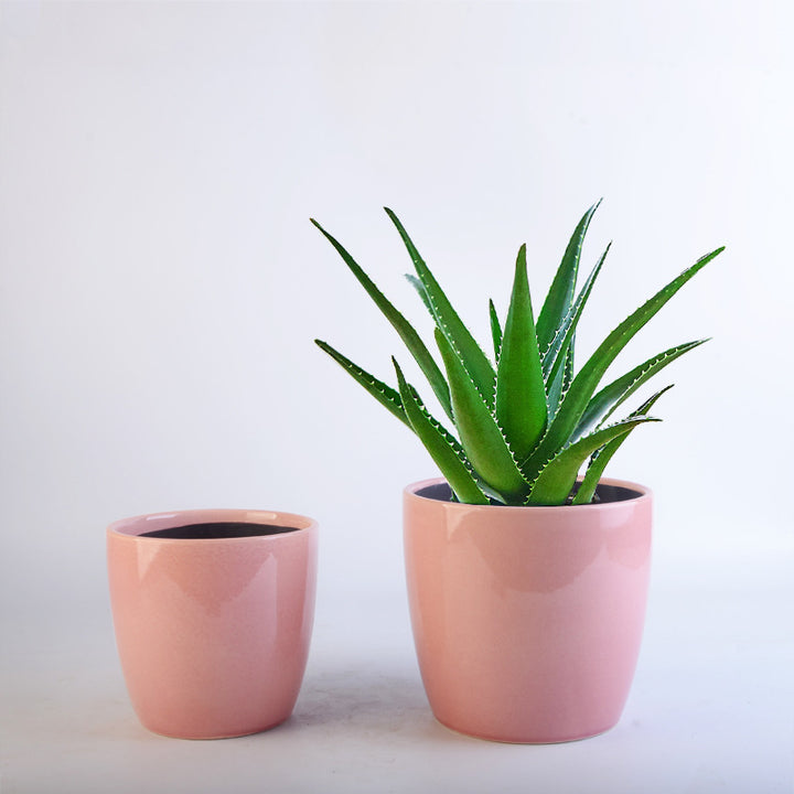 Flower Pot Set Kalsten