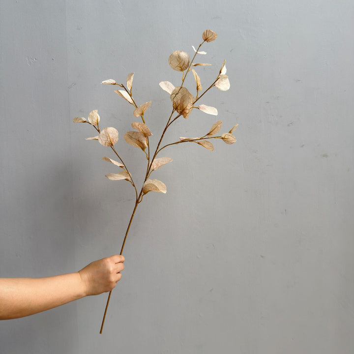 Elegant Decorative Eucalyptus Branch