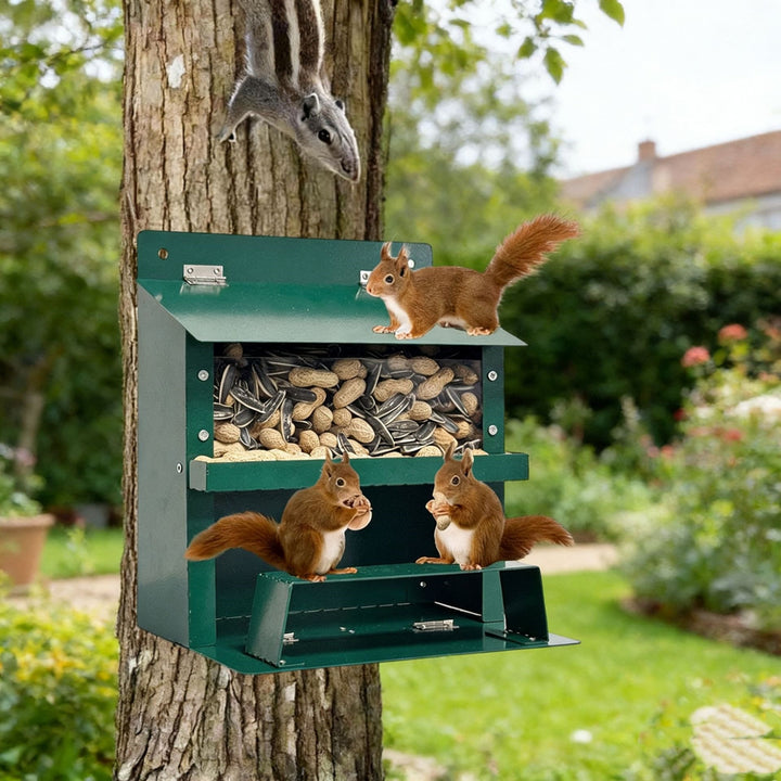 Decorative Wall-Mounted Bird Feeder Kalsten