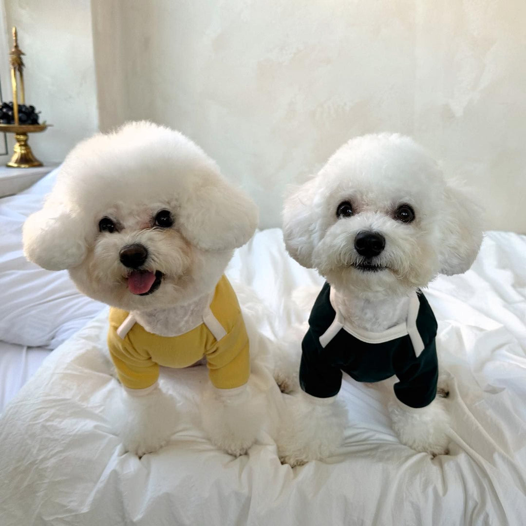 Small Dog Slim-Fit Cotton Jersey Tee