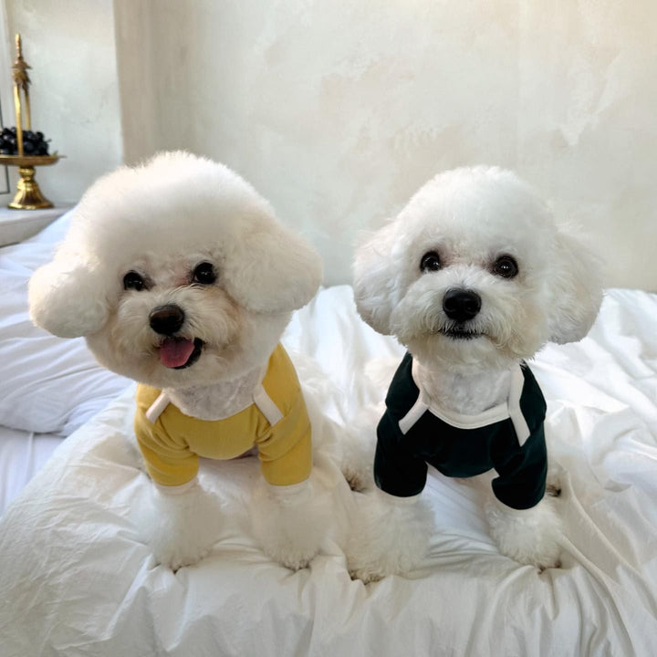 Small Dog Slim-Fit Cotton Jersey Tee