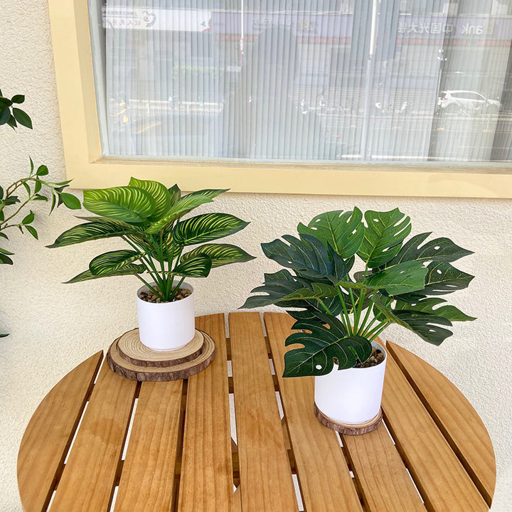 Lifelike Indoor Fern Plant