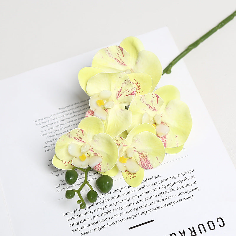 Realistic Orchid Floral Stem