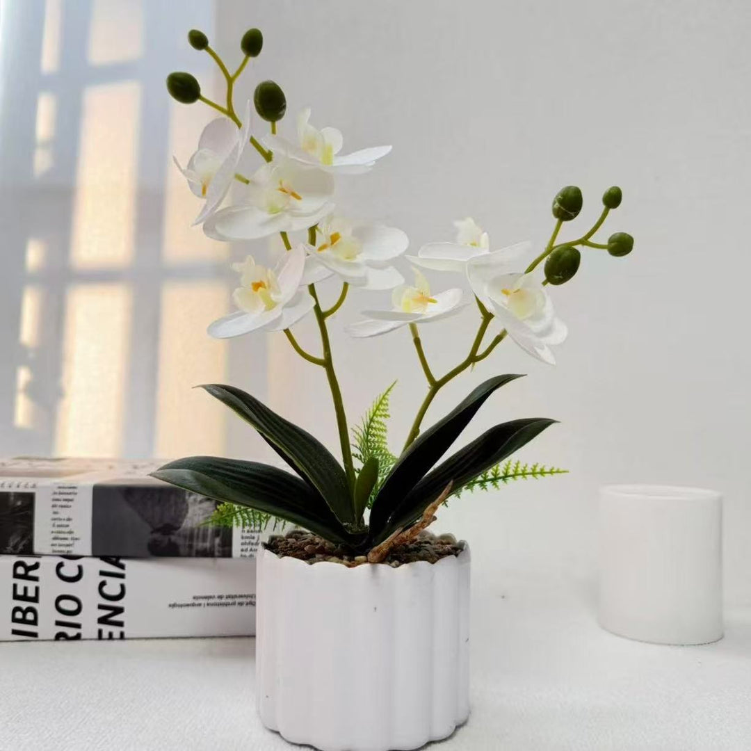 Home Decorative Artificial Orchid for Indoor Decorative Display