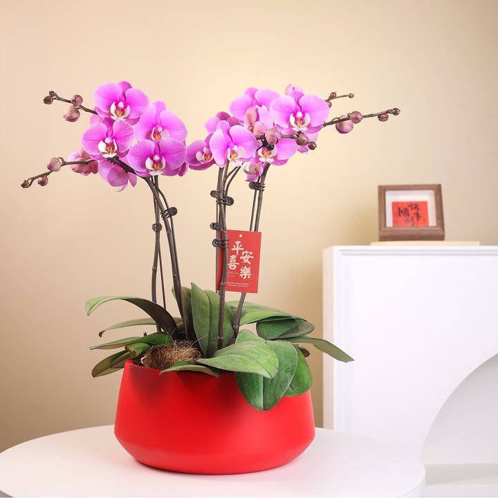 Decorative Bowl for Modern Home Interior Styling