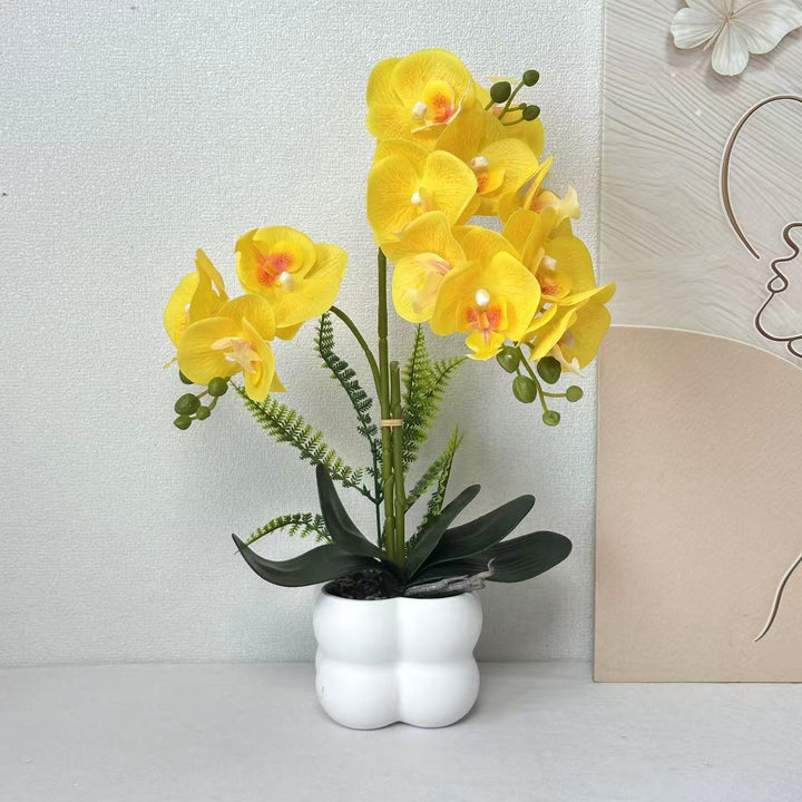 Premium Lifelike Orchid Plant Arrangement