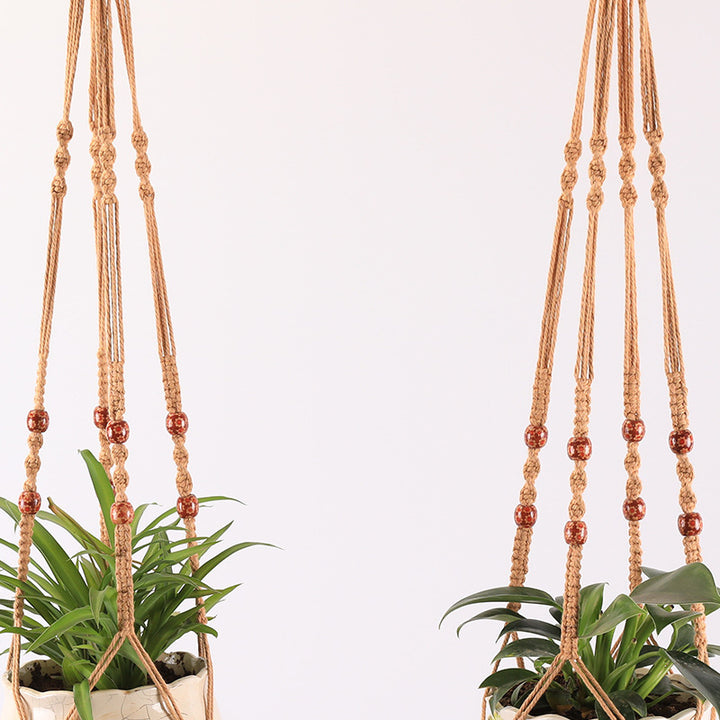 Plant Hanging Hanger Kalsten