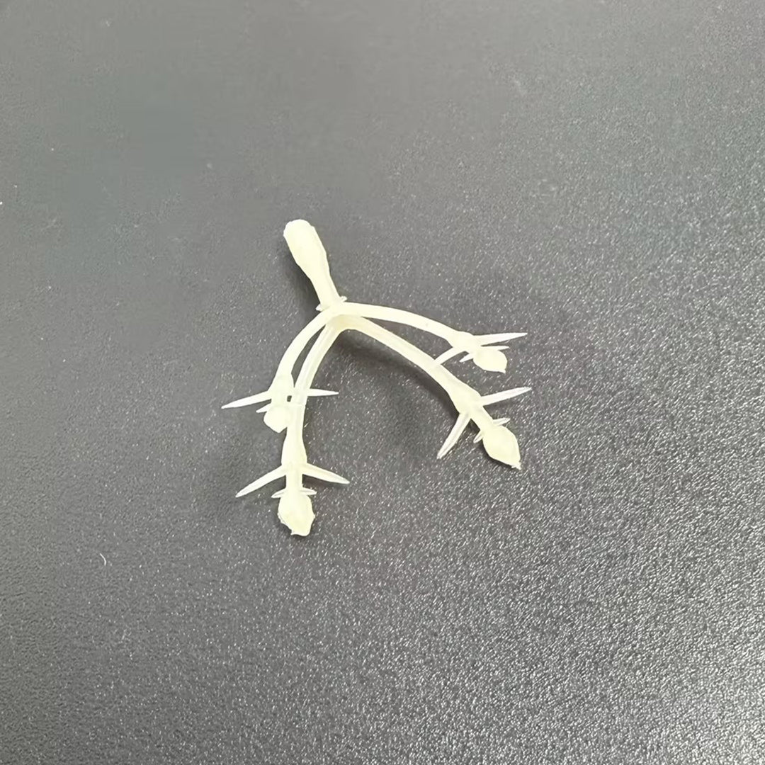 Decorative Plant Stem