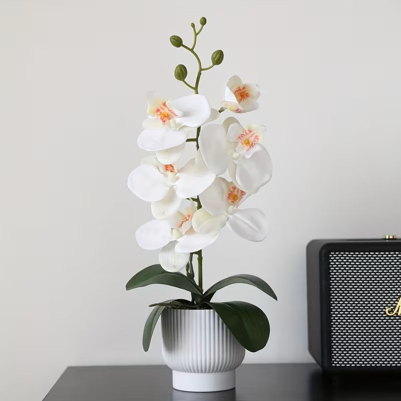 Elegant Artificial Orchid Plant Display for Home Decor