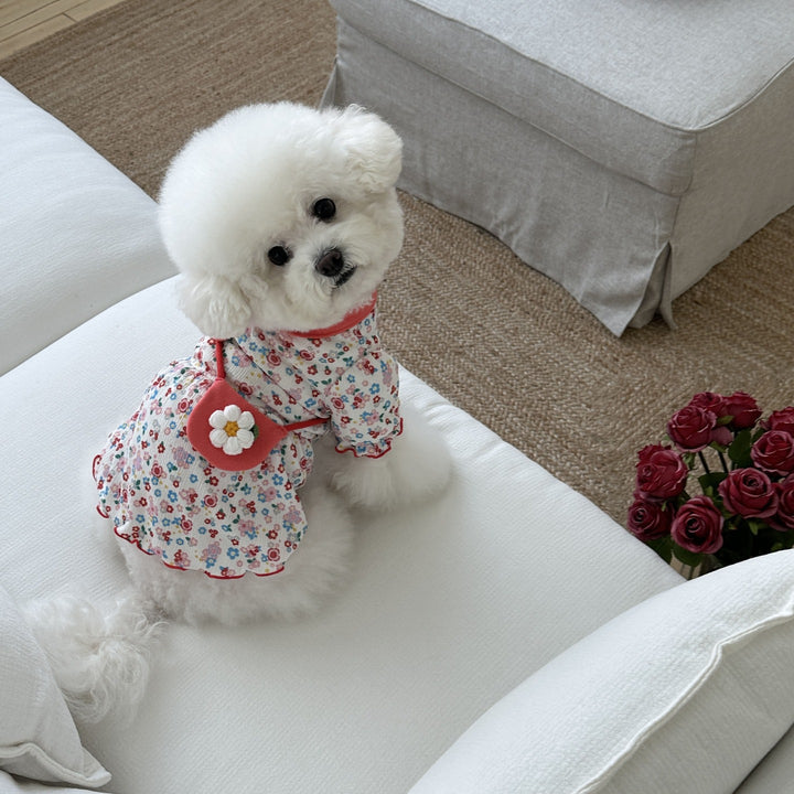 Baby Floral Ribbed Cotton Dress with Peter Pan Collar