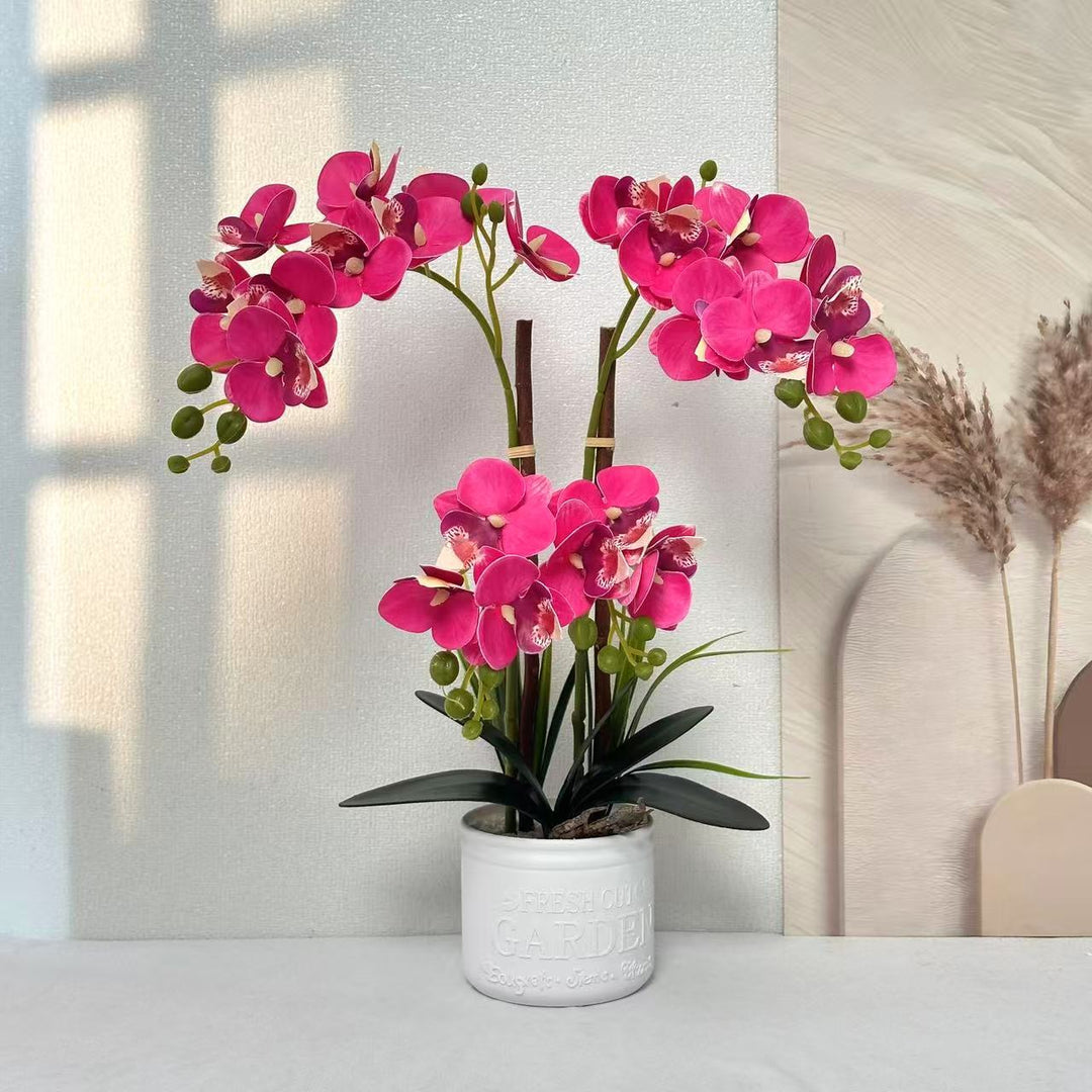 Decorative Potted Orchid Arrangement for Tabletop Decor