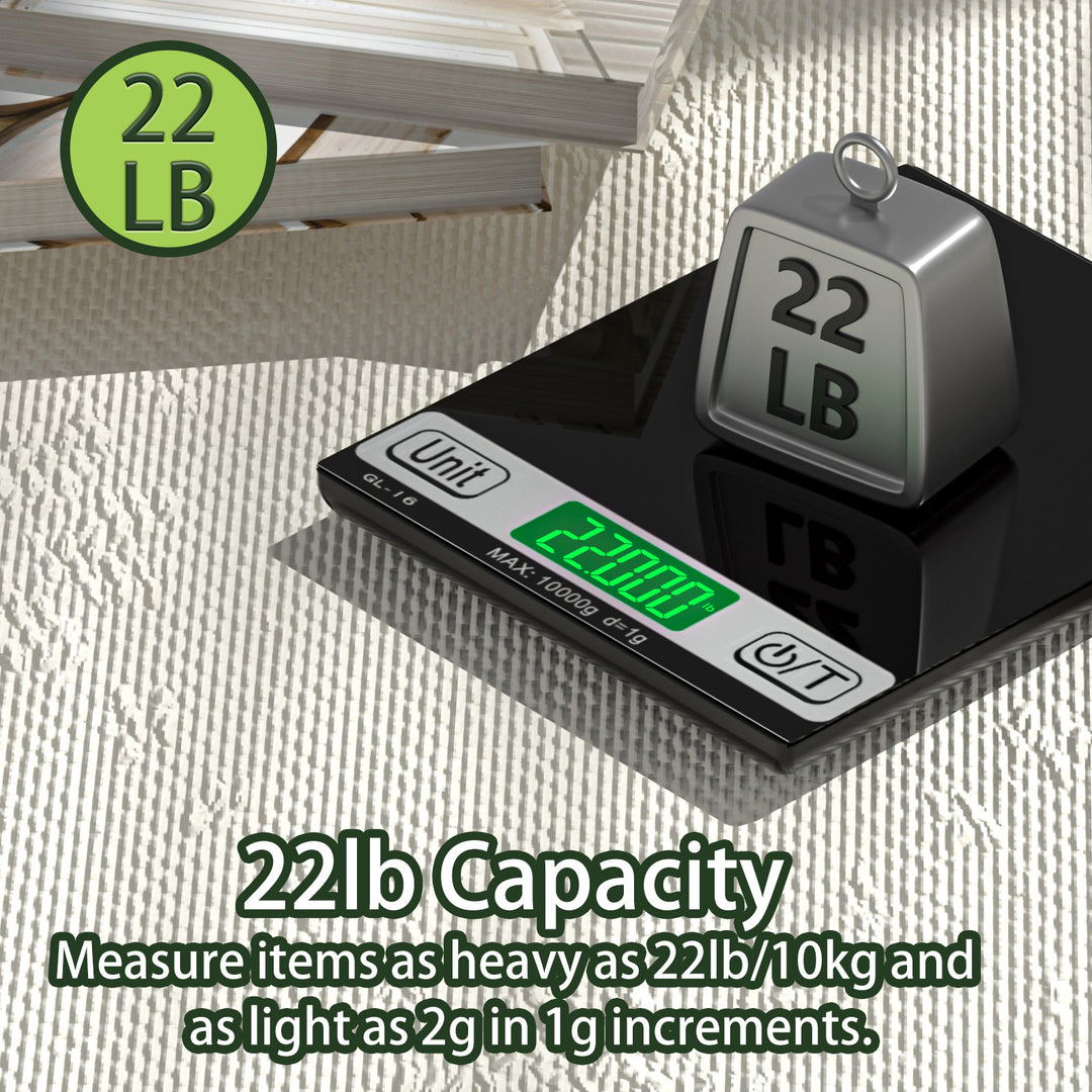 Precision Digital Scale